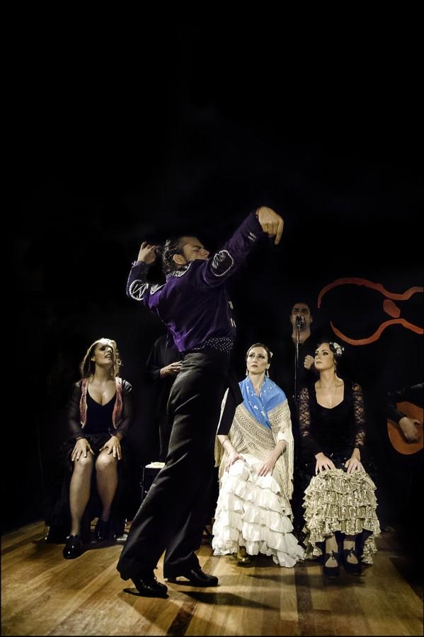 Flamenco show in Madrid, Tablao Carboneras