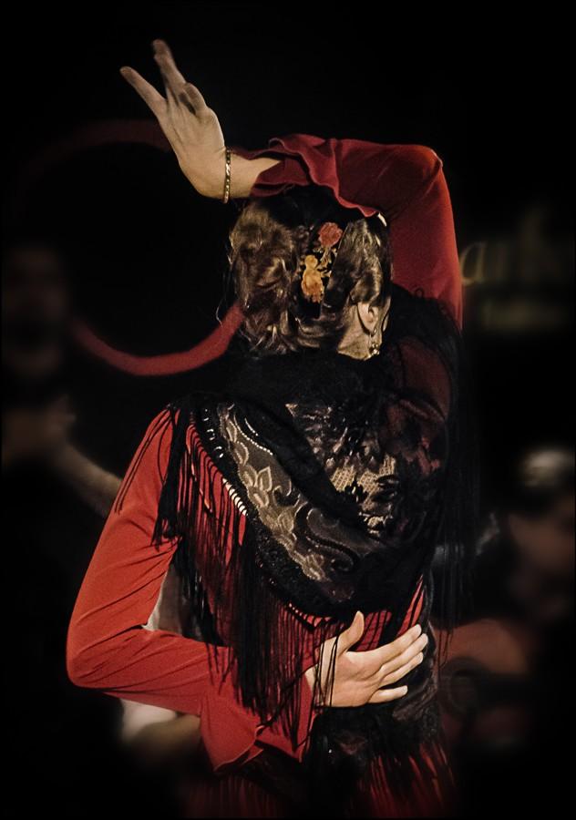 hårdtarbejdende Skelne i dag Flamenco show in Madrid, Tablao Las Carboneras
